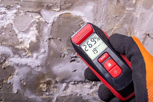Office Mold Removal Services in Louisville, NE