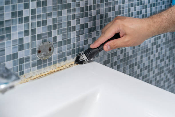 Louisville, NE Mold Removal Company