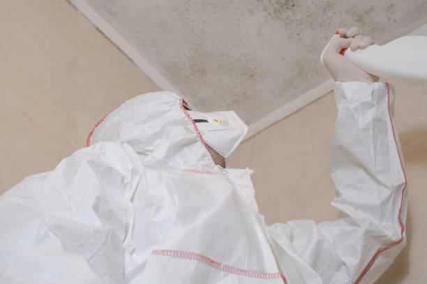 Best Professional Mold Removal  in Louisville, NE